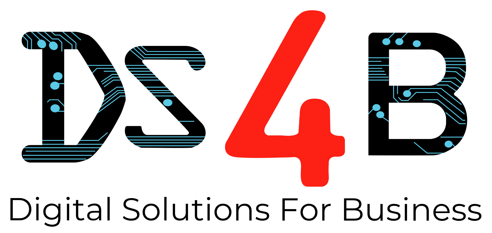 DS4B